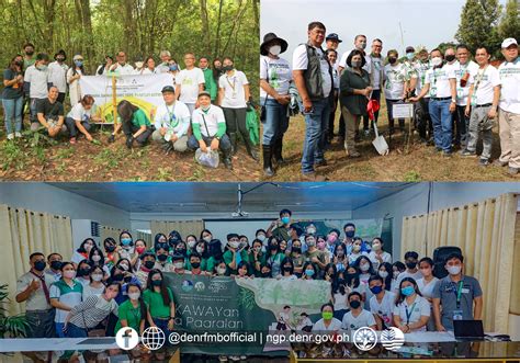 palms and bamboo bataan|Bataan greening program to plant bamboo, mangroves.